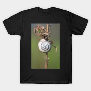 White Garden Snail T-Shirt